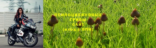 каннабис Магас
