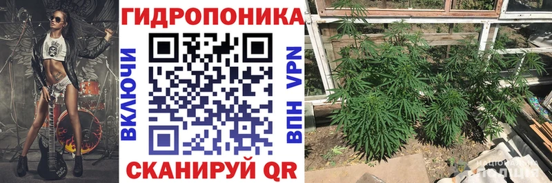Шишки марихуана Bruce Banner  Мурино 